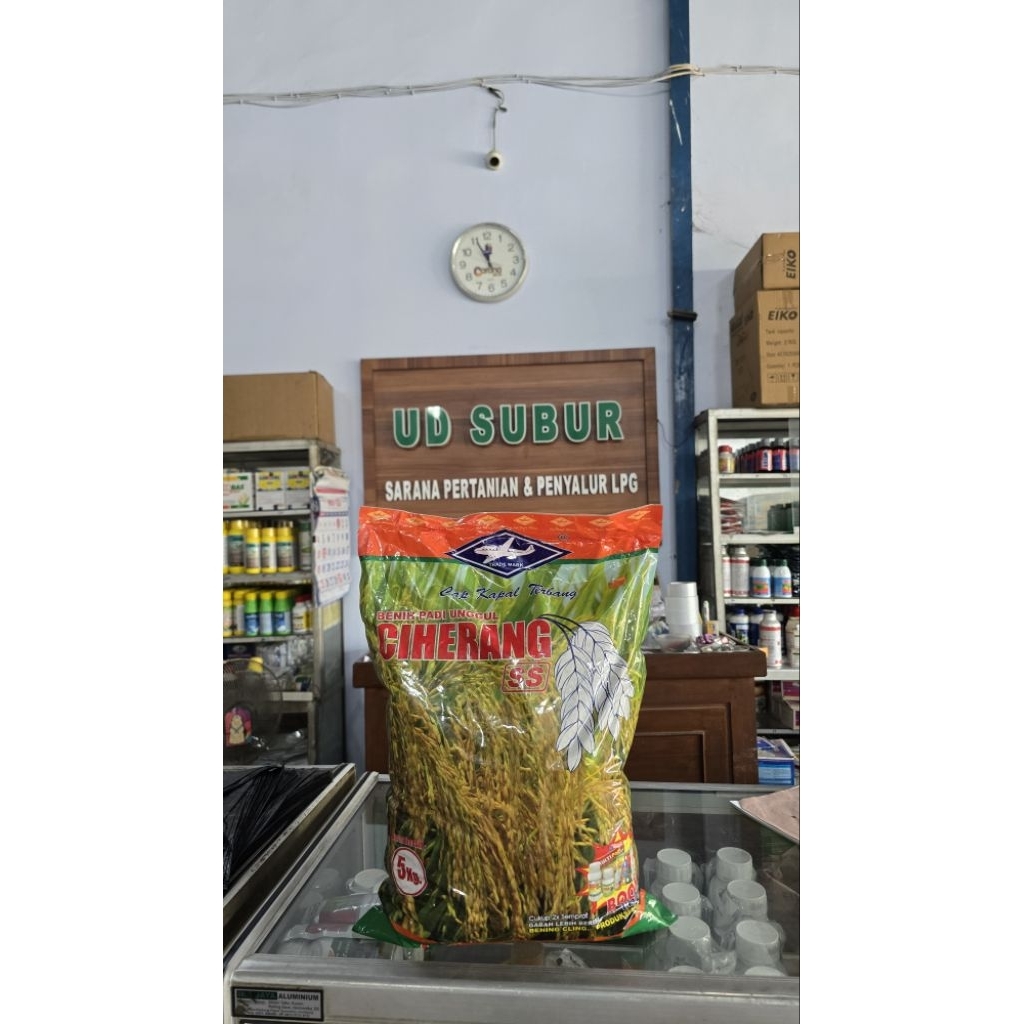 BENIH PADI CIHERANG SS CAP KAPAL TERBANG (Berat bersih: 5kg)