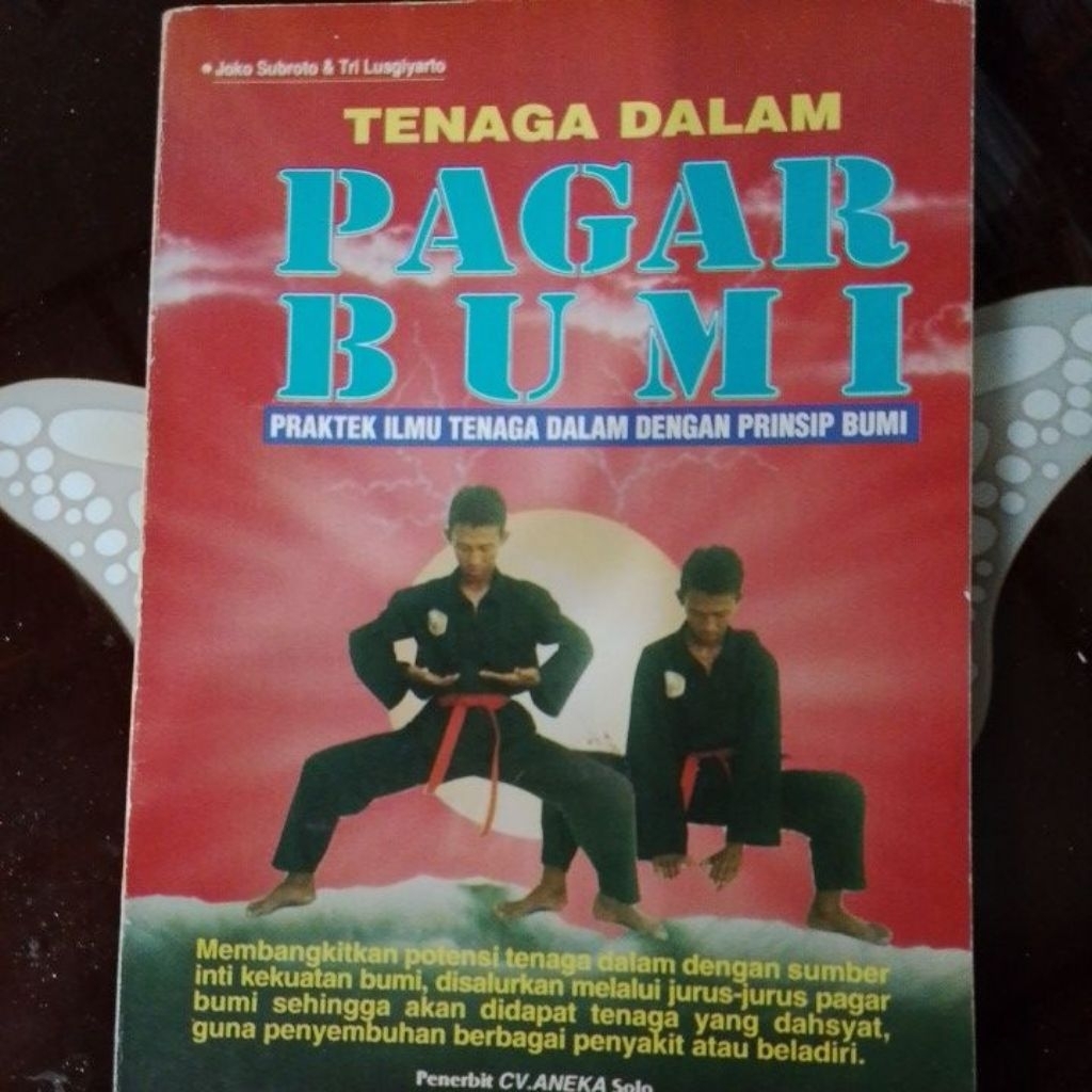 ILMU PAGAR BUMI PRAKTEK TENAGA DALAM DENGAN PRINSIF BUMI