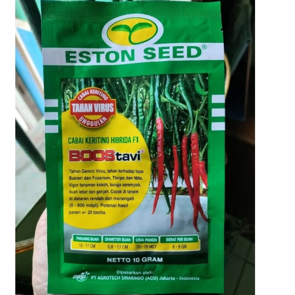 Benih cabai Bostavi