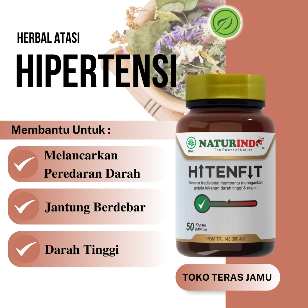 Hitenfit Obat Hipertensi Darah Tinggi Naturindo
