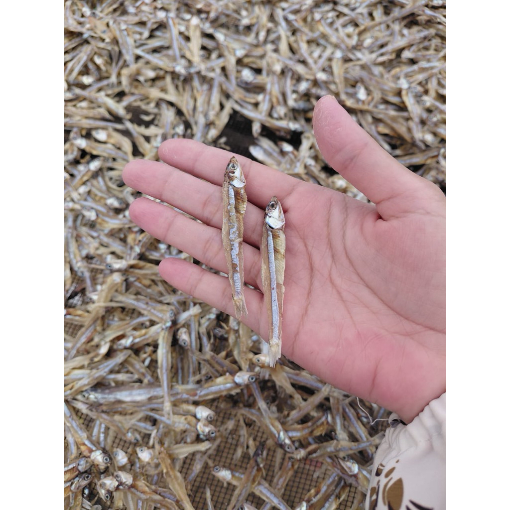 TERI JENGKI TERI TAWAR TERI RENYAH GURIH GUDANG IKAN ASIN