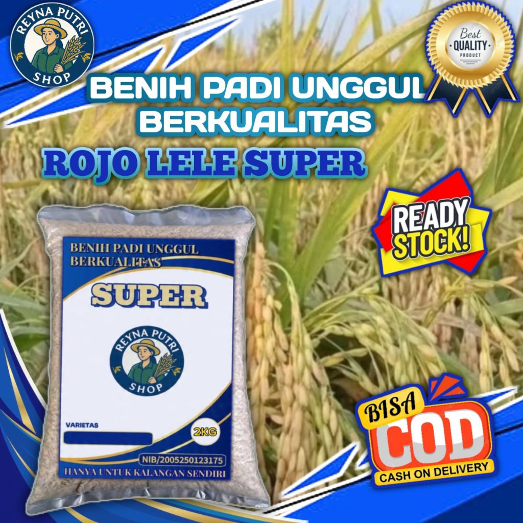 (2KG) BENIH PADI ROJO LELE UNGGUL BIBIT BERKUALITAS