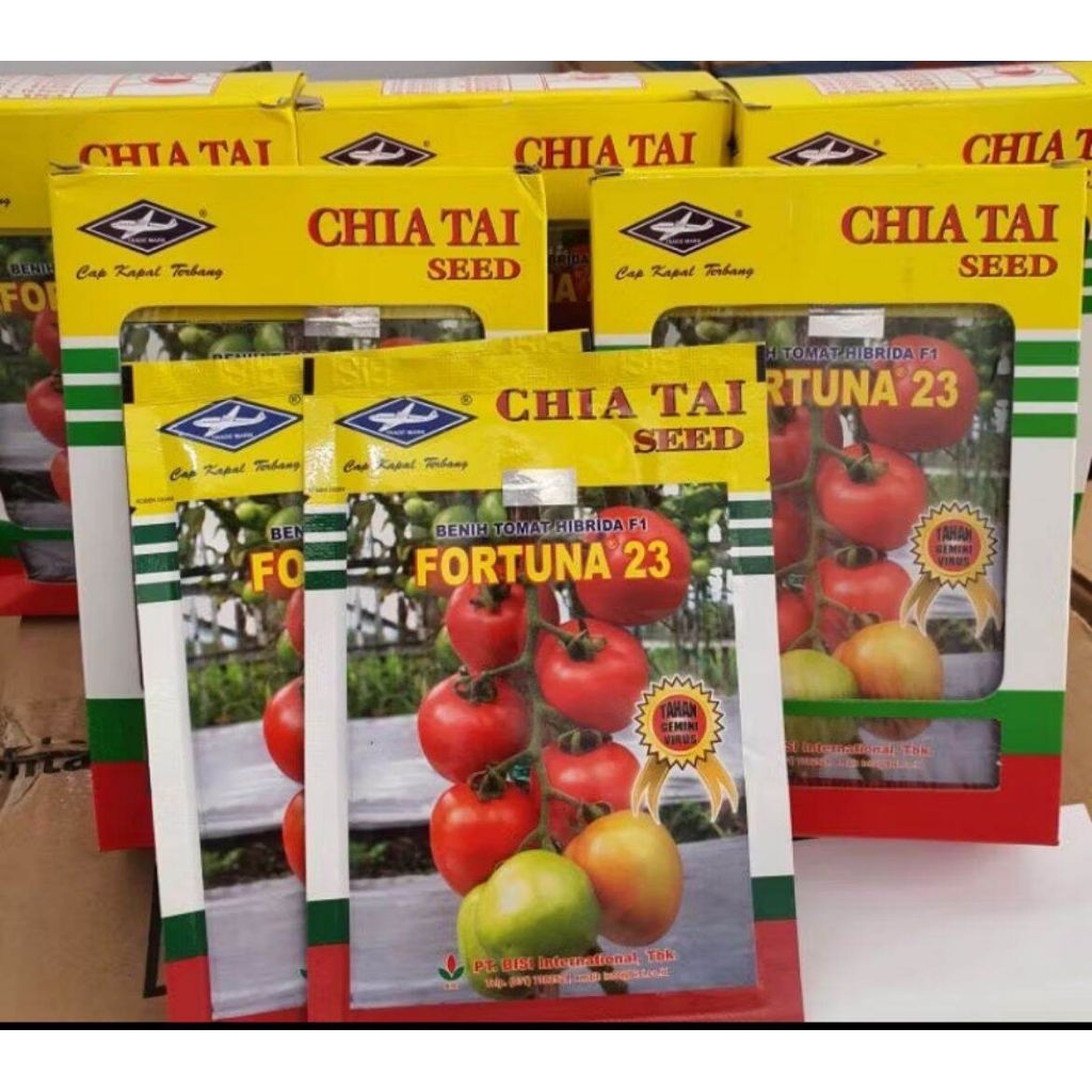 BENIH TOMAT FORTUNA 23 F1 10 GRAM
