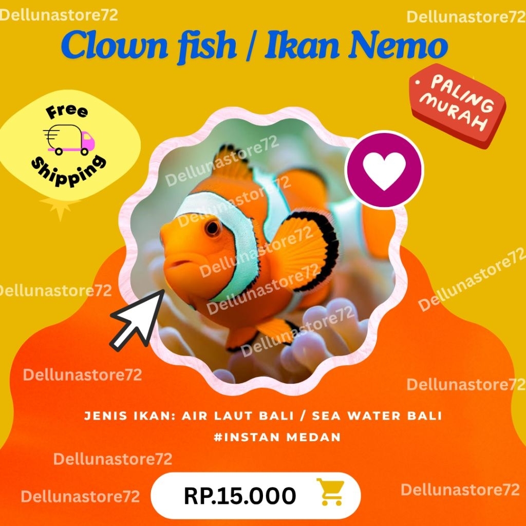 IKAN NEMO I CLOWN FISH  SEA WATER I IKAN NEMO AIR LAUT I INSTAN MEDAN