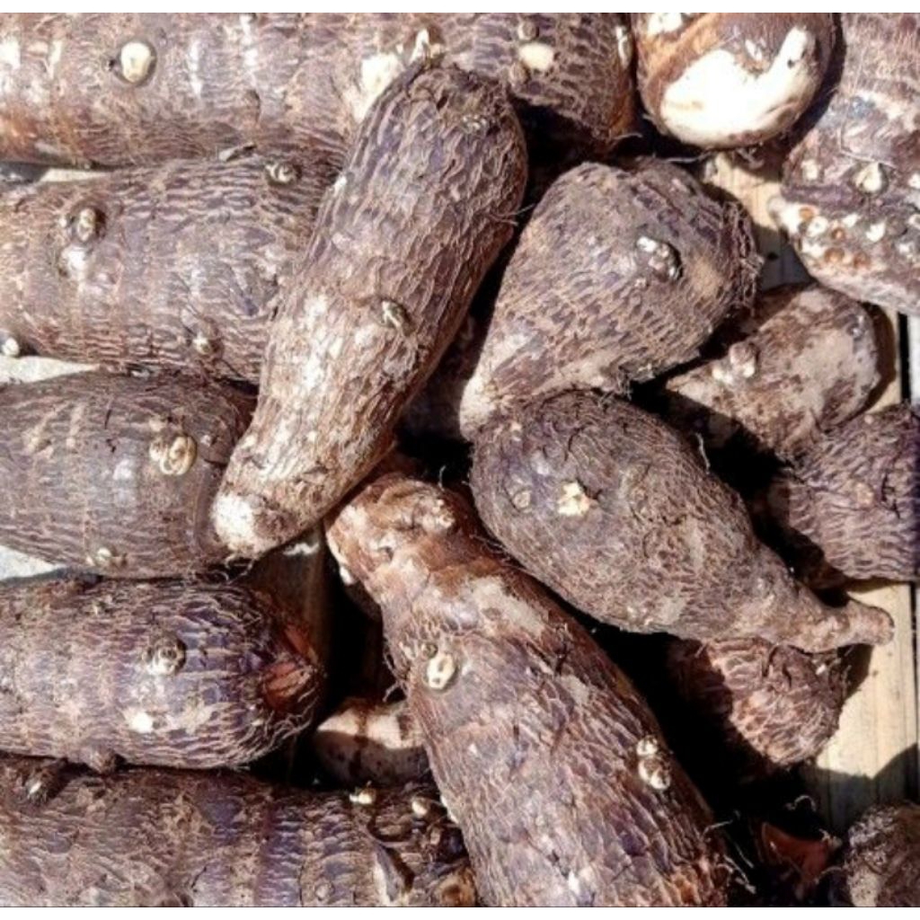 Talas kimpul/talas mbote/talas kripik 1kg