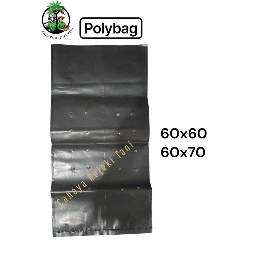 polybag 60x60 60x70 lembar/kg