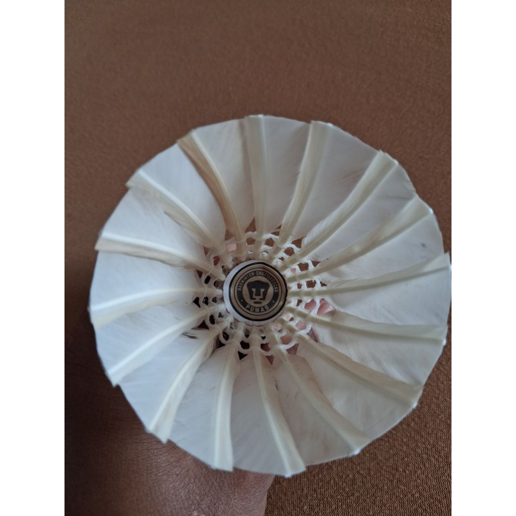 shuttlecock papak pumas murah dari PABRIK langsung