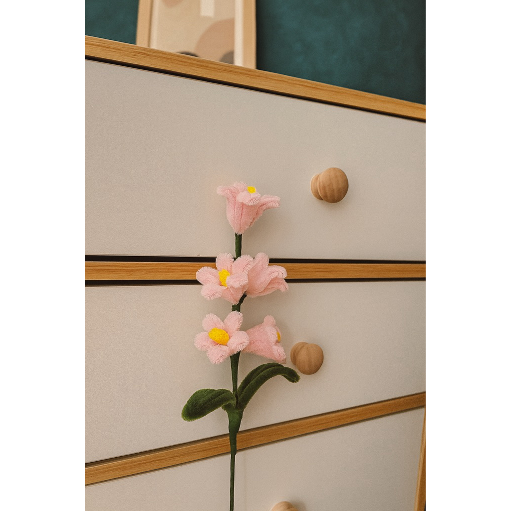 Bunga kawat bulu pertangkai/ Bunga kawat bulu