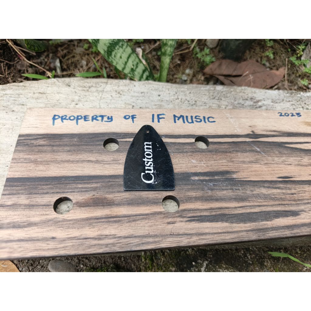 Cover Truss Rod Gitar PRS SE CUSTOM