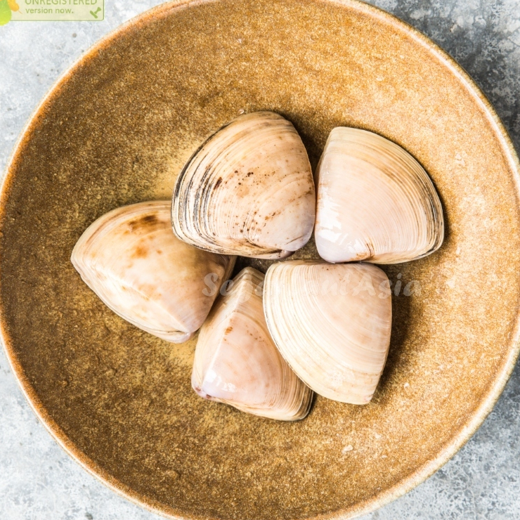 Kerang Tahu 1Kg Kerang Tahu Segar Kerang Kepah Seafood Kerang Laut Segar Kerang Segar 1Kg