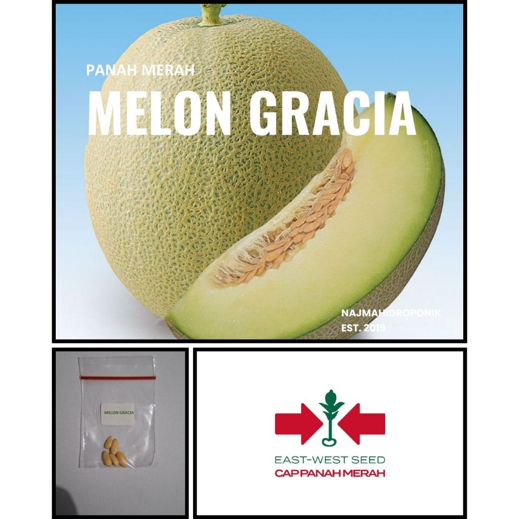 4 Butir Benih Melon Gracia Repacking (Panah Merah)