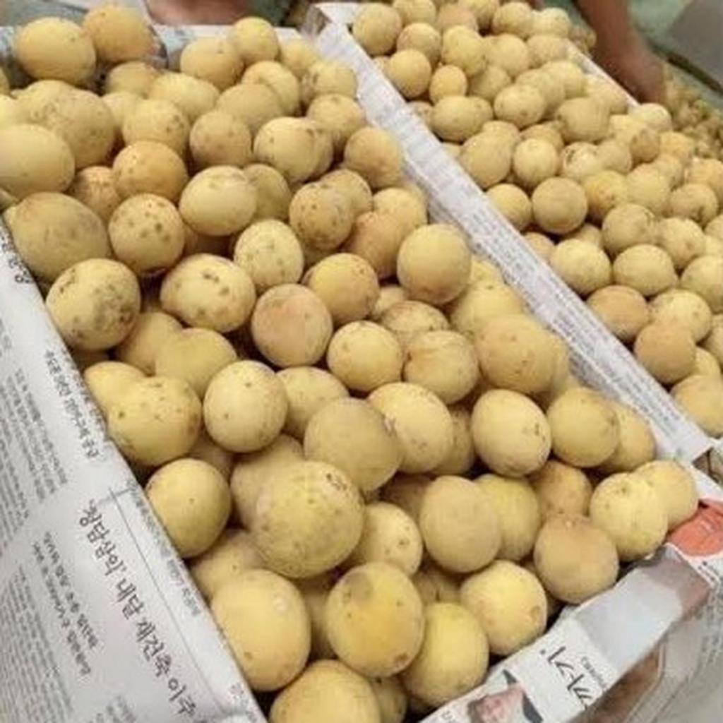 Duku Palembang Komering Manis Segar Fresh Kompring 1000gram 1KG Sekilo Buah duku pontianak palembang