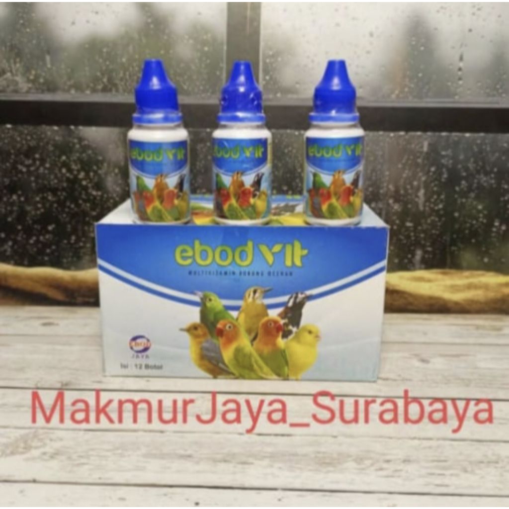 EBOD VIt (ASLI) Vitamin BURUNG MURAI KENARI GACOR SEHAT EBOD VIT ORI EBODJAYA