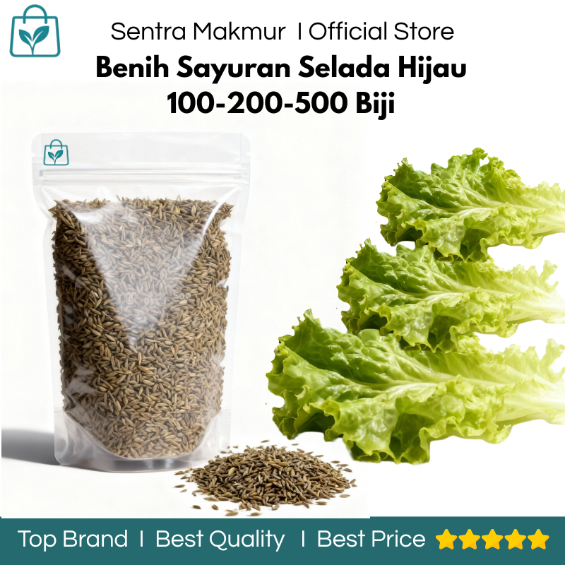 Benih Selada Hijau 100/200/500 Biji - Benih Sayuran Selada - Benih Selada Hijau Keriting - Benih Sel