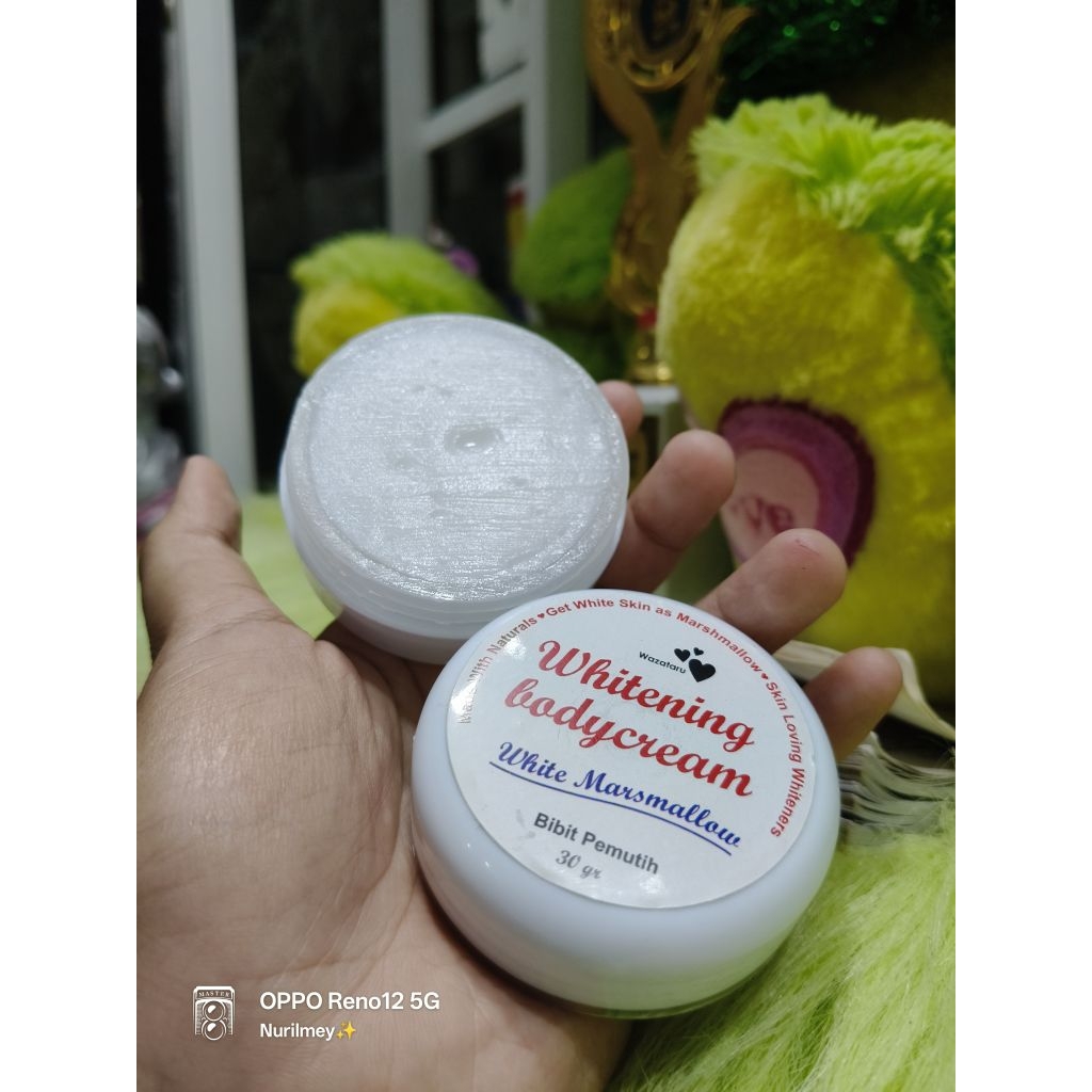 ECER BIBIT PEMUTIH WAZATARU