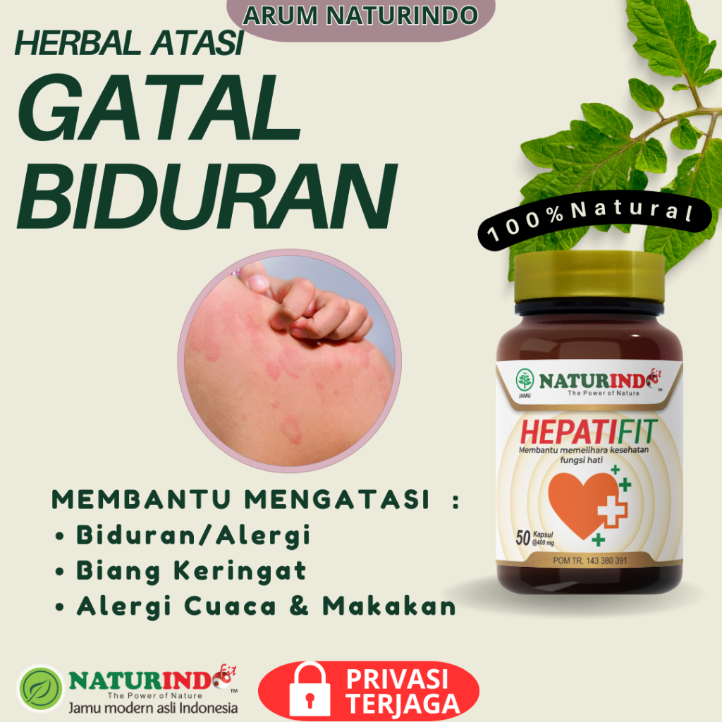 Obat Herbal Atasi Gatal Biduran Gatal Alergi Dingin Gatal Biduran Kaligata Hepatifit Naturindo