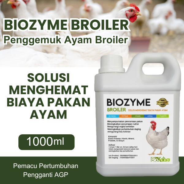 BIOZYME Penggemuk Ayam Broiler Nutrisi Terbaik Meningkatkan Bobot Pertumbuhan Cepat Hemat Pakan