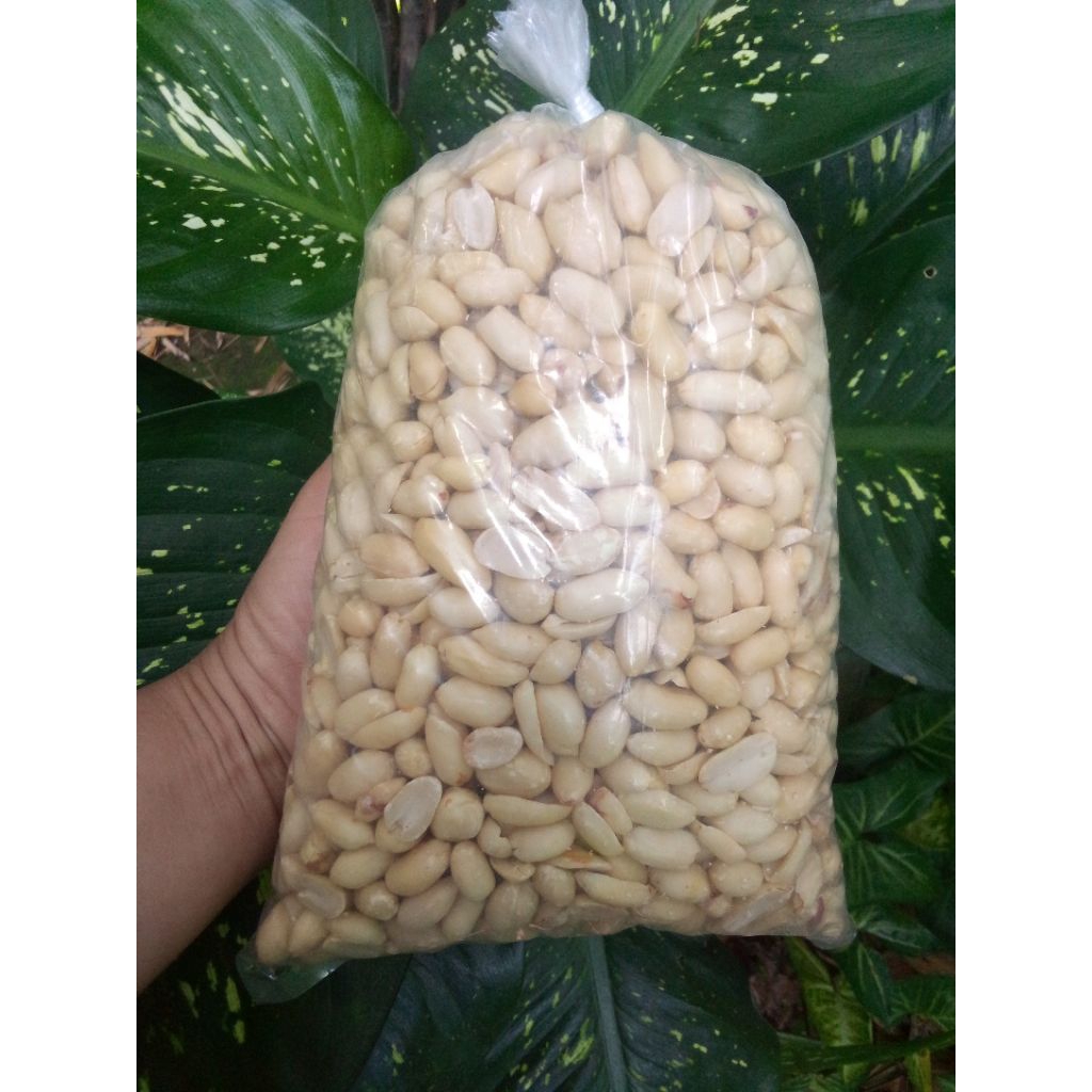 KACANG TANAH KUPAS UKURAN BESAR 1KG
