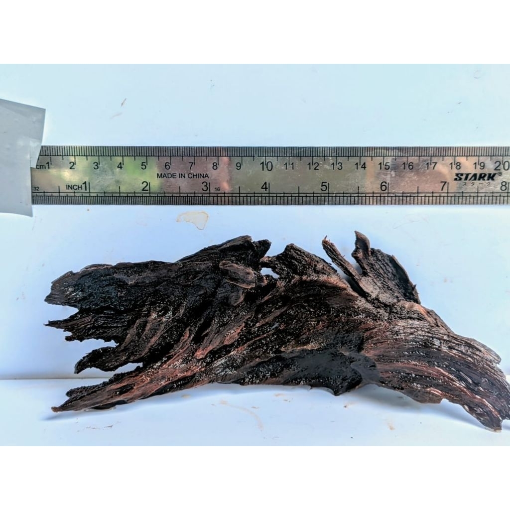 kayu rentek aquascape sudah tenggelam