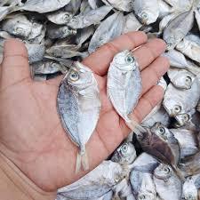 ikan asin petek 500gr segar dan fresh