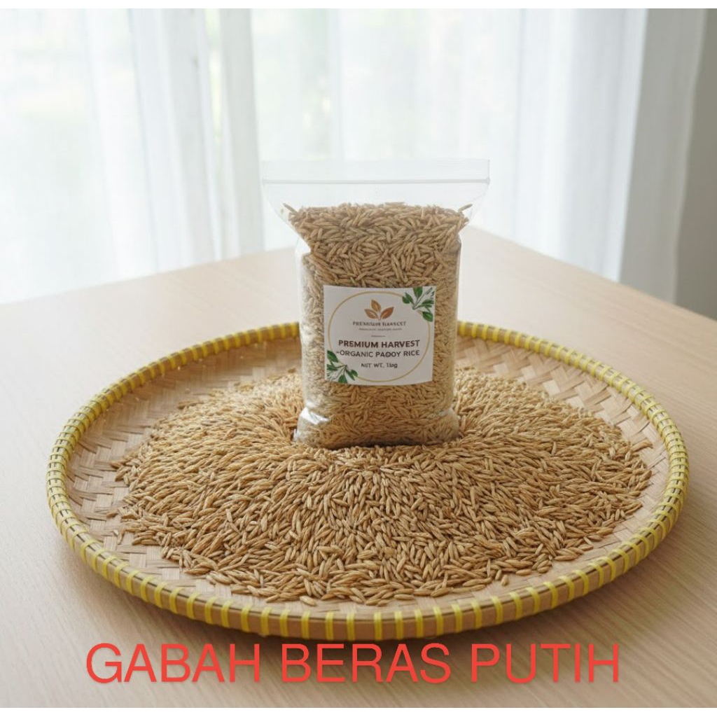 PADI GABAH BERAS PUTIH ASLI CIANJUR 5KG | UNTUK BENIH ATAU PAKAN TERNAK