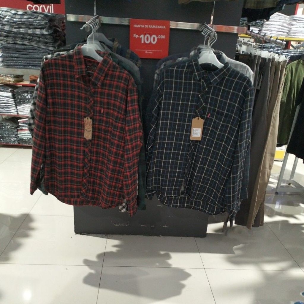 Carvil kemeja kotak-kotak, Koko