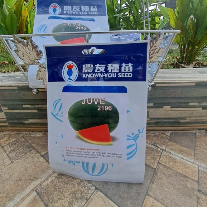 Benih SEMANGKA JUVE 2169 F1 NON BIJI ( isi 300 butir) - KNOW YOU SEED