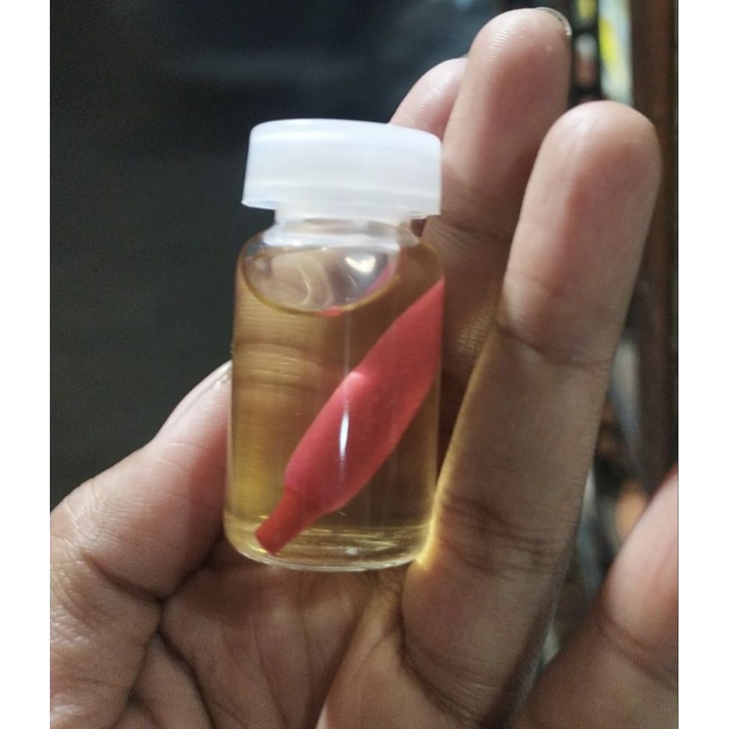 Bunga Kembang Kantil Merah 1 Pcs