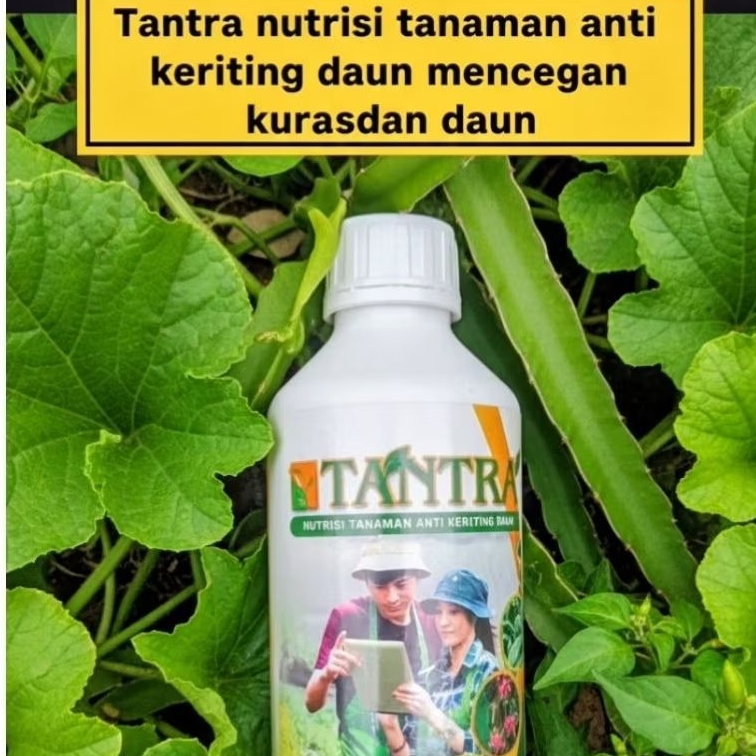 Pupuk Cair Tantra 1 Liter, Tantra