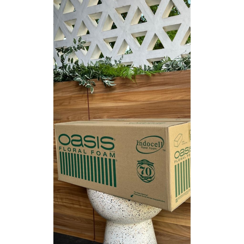 Oasis Floral Foam (Indocell)