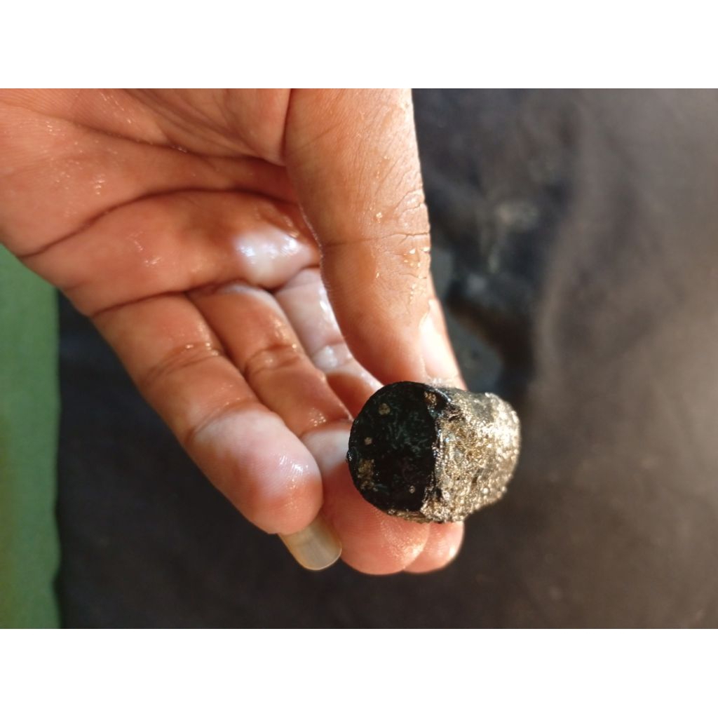 temuan alam batu unik/bagian dari artefak kuno dan tulang hewan purba 16