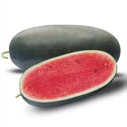 benih semangka BONITA F1 isi 20gram