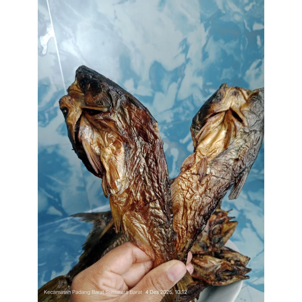 Ikan fatin salai asli padang