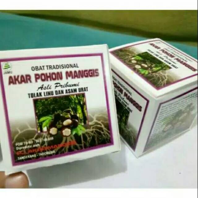 akar Pohon manggis-asam urat