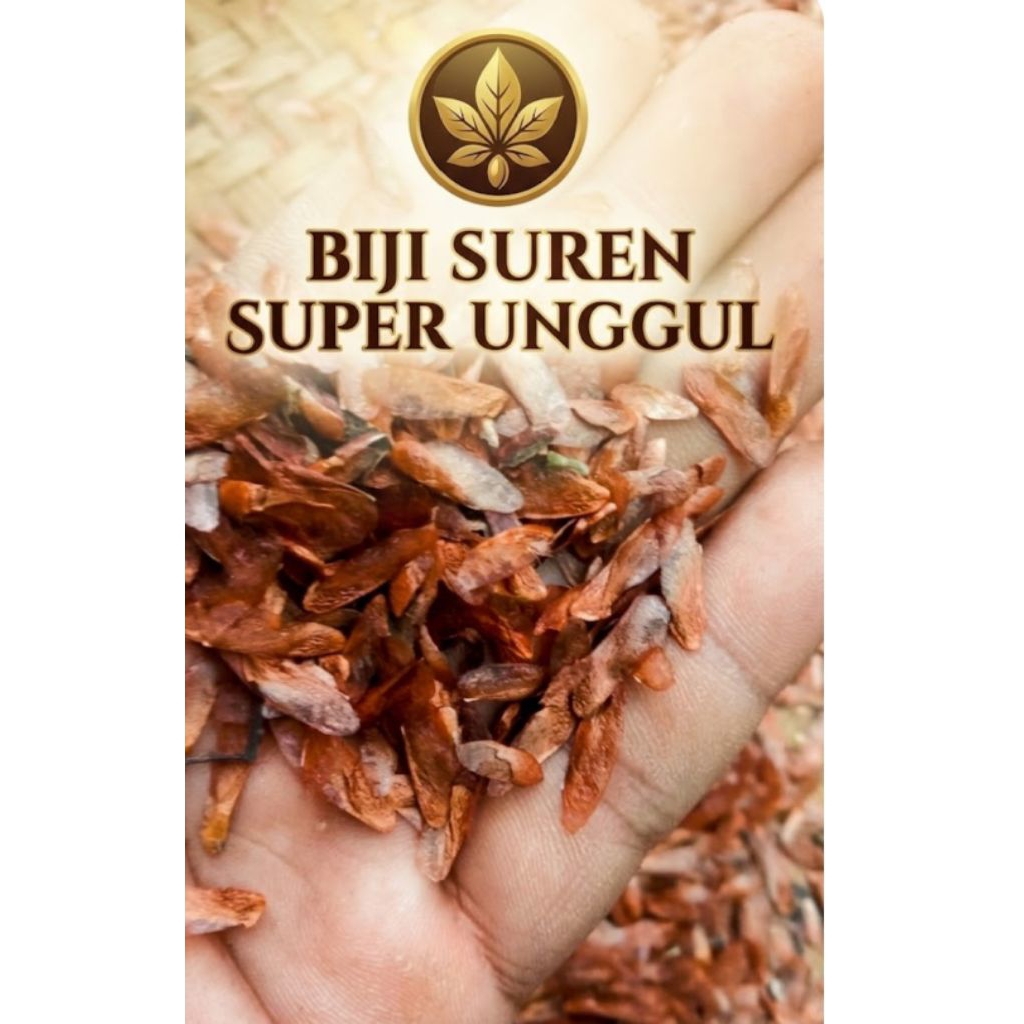 biji suren kemasan 1kg