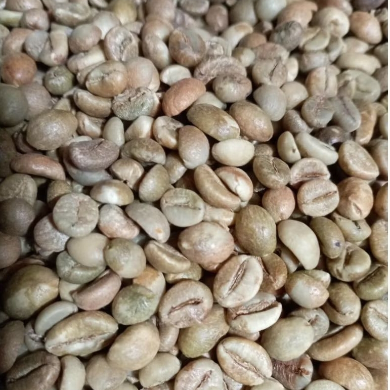 biji kopi robusta garut
