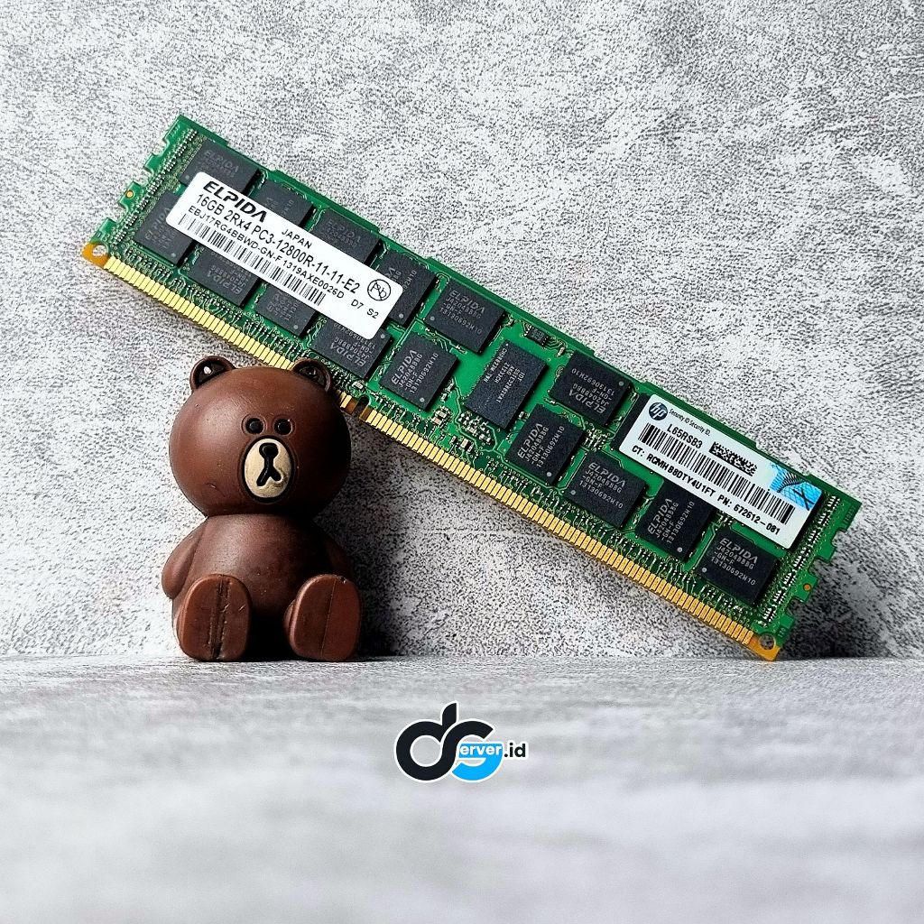 Memory Server 16GB DDR3 12800R 2Rx4 PC3-12800R Elpida HP