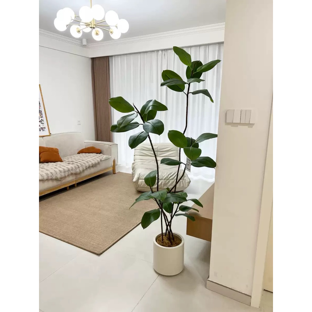 [PRE ORDER] KARET KEBO PREMIUM ARTIFICIAL 150CM