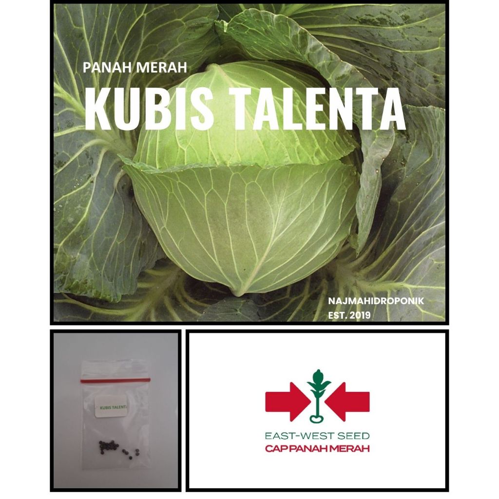 15 Butir Benih Sayuran Kubis Talenta Repacking (Panah Merah)