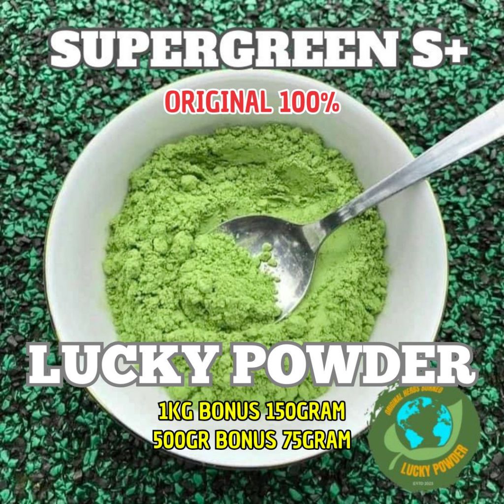 Bubuk Hijau Serbuk Teh Purilik daun purlikk S++