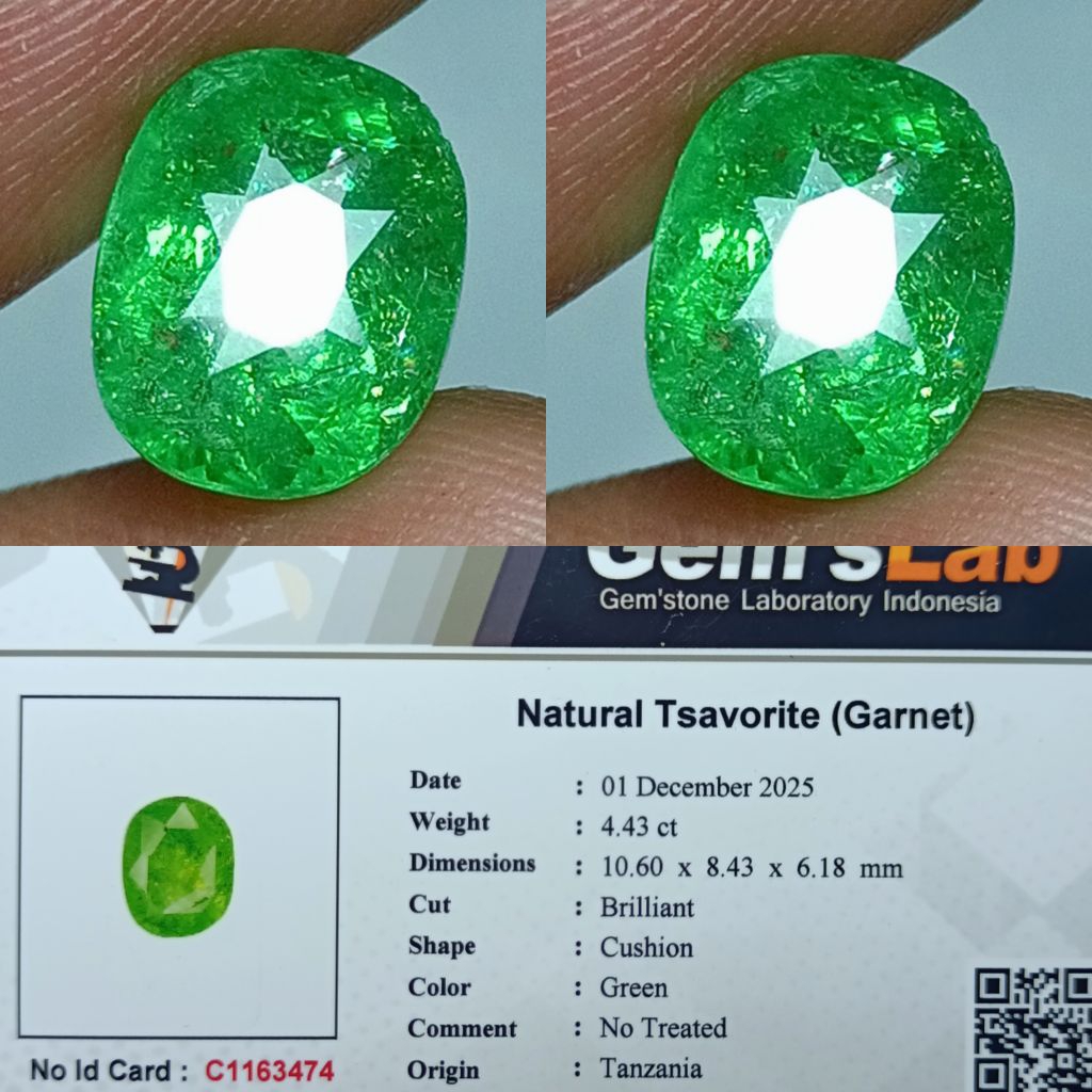 NATURAL TSAVORITE GARNET MEMO GLI
