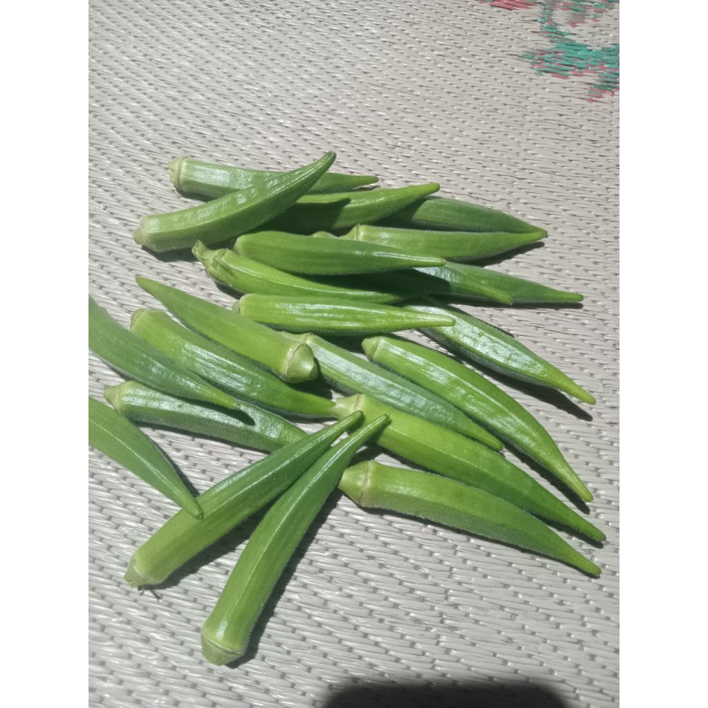 Sayur Okra Hijau Segar Murah 1 Kg