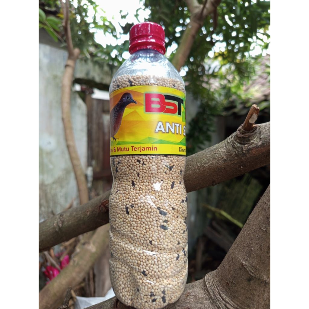 Pakan kutut perkutut BST  milet putih