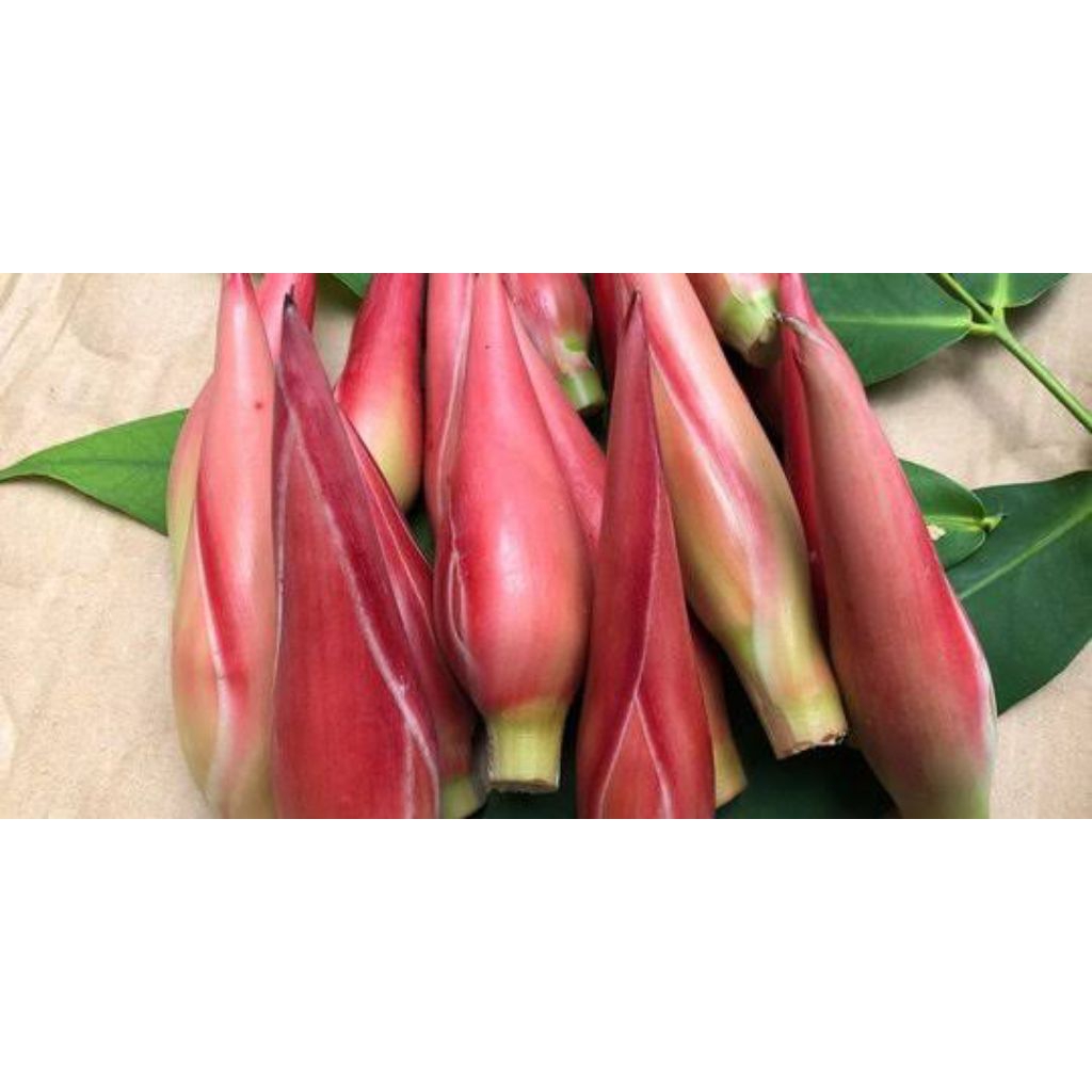 Bunga kecombrang 1kg