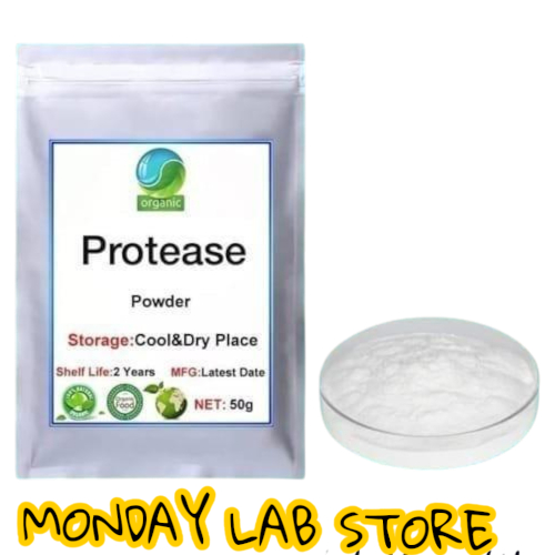 Enzim Protease 3 Gram / Protease Enzyme 3 Gram