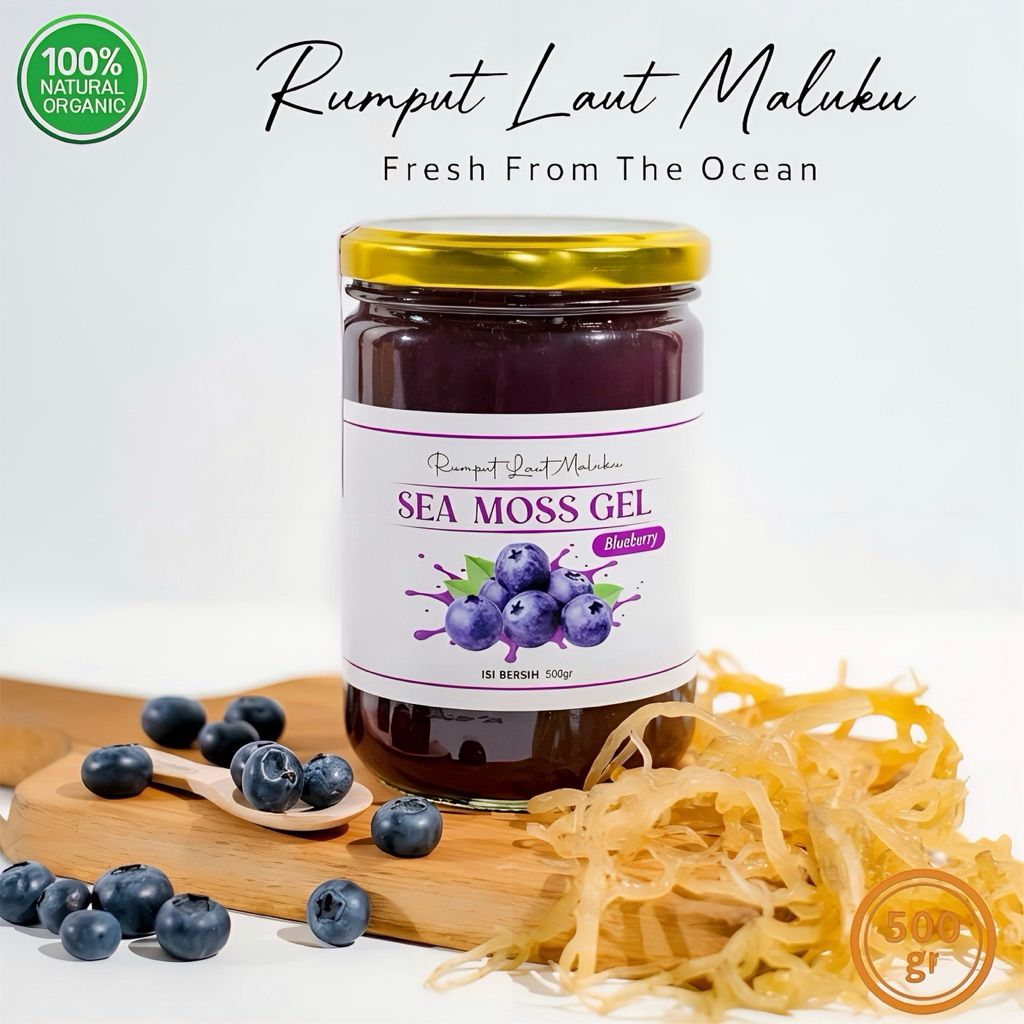 500gr SEA MOSS GEL BLUEBERRY seamoss gel