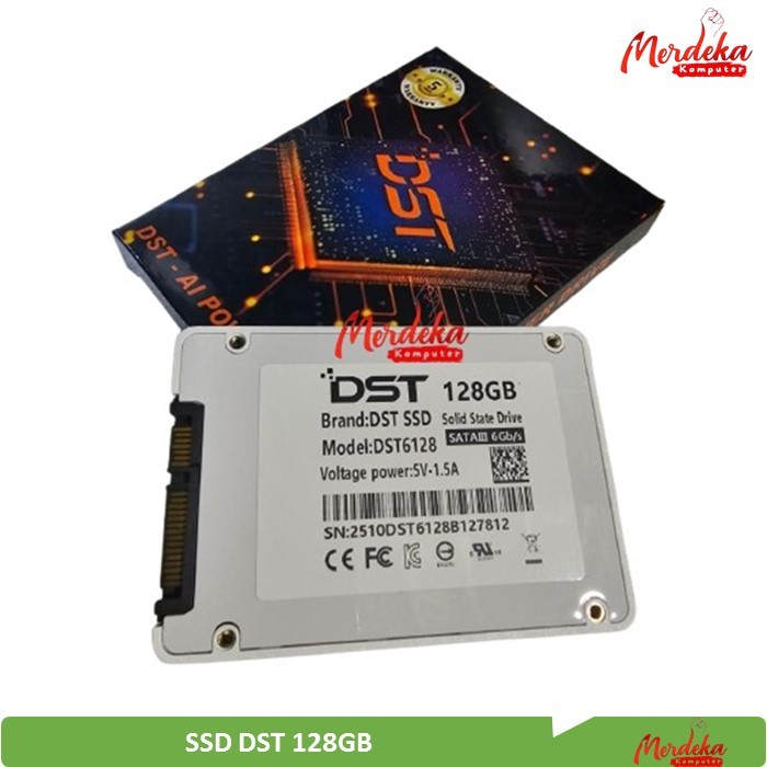 SSD DST 256GB Sata III Garansi Resmi