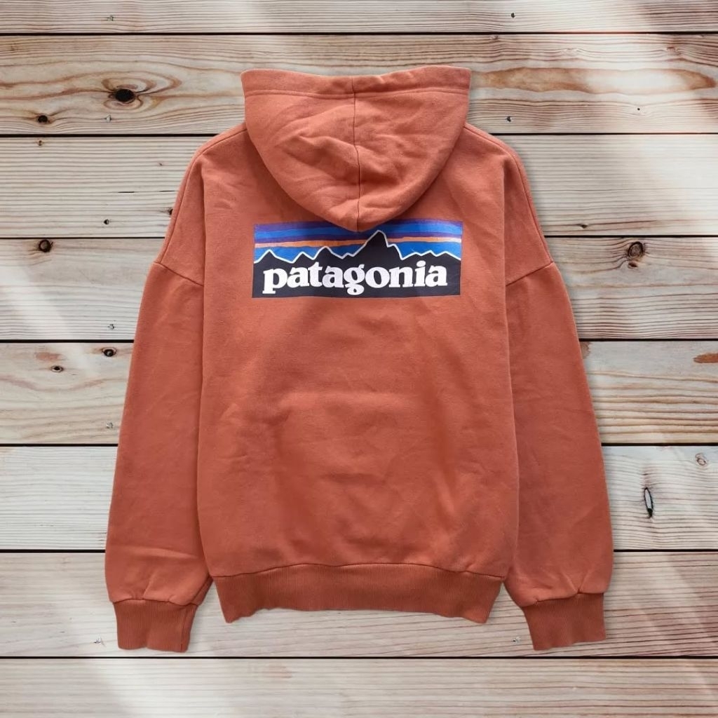 Hoodie Patagonia Original