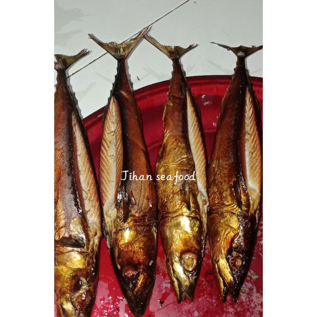 ikan Asap salem promo