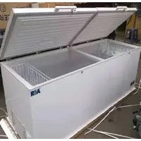 Chest Freezer RSA CF-600 / Freezer Box 600 liter RSA CF600